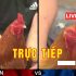 Review đánh giá về đá gà trực tiếp hôm nay có nên chơi không?