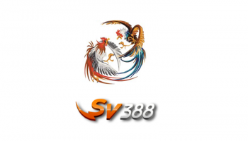 SV388 – Đánh giá tổng quan về nhà cái đá gà tốt nhất hiện nay
